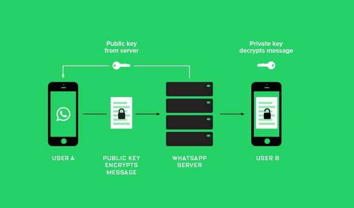 Whatsapp-конца в конец шифрования
